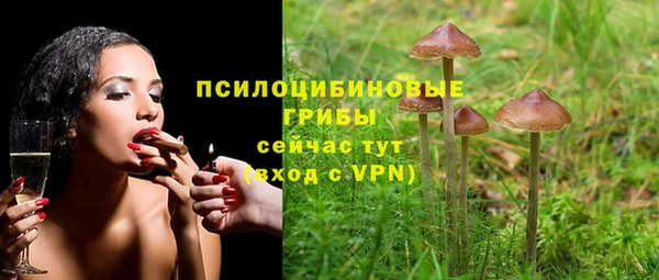 гашиш Бородино