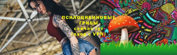 не бодяженный Волоколамск