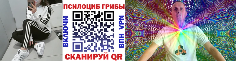 что такое   OMG зеркало  Псилоцибиновые грибы прущие грибы  Донецк 